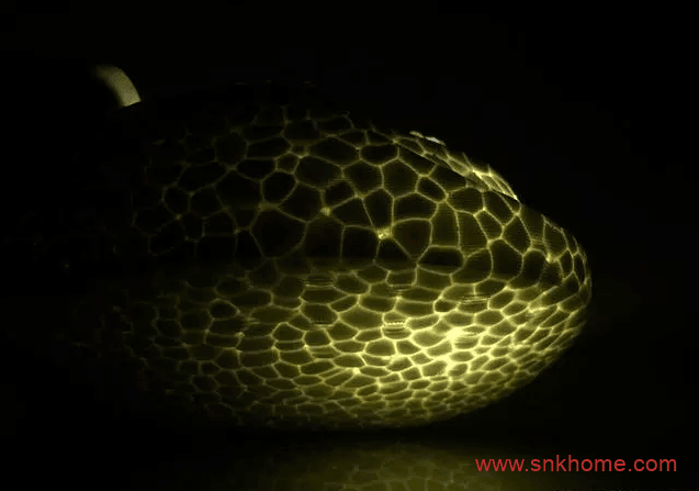 什么是Boost?什么是真爆、东莞爆、莆田爆?什么是纯原巴斯夫?进口巴斯夫真爆